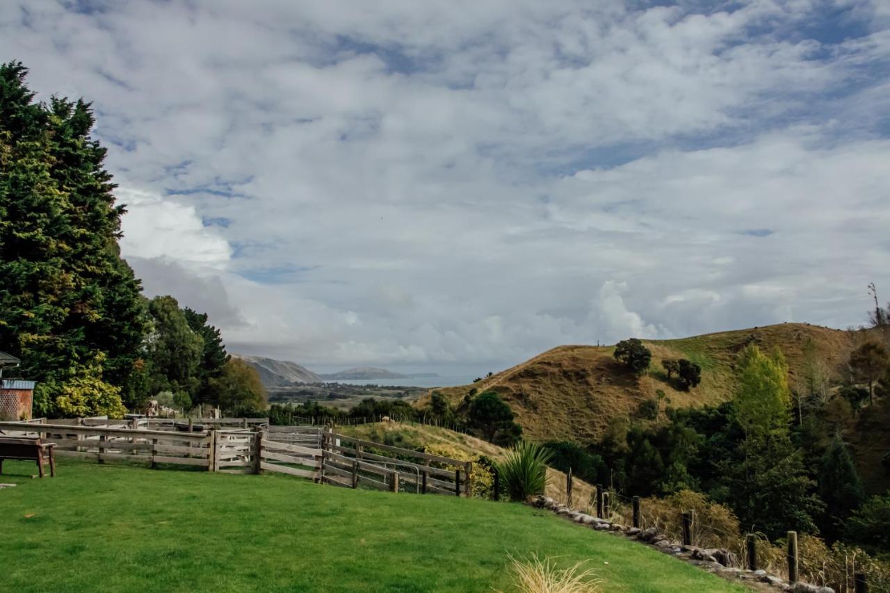 Luxury Stay, Alpaca Farm Paraparaumu Esterno foto