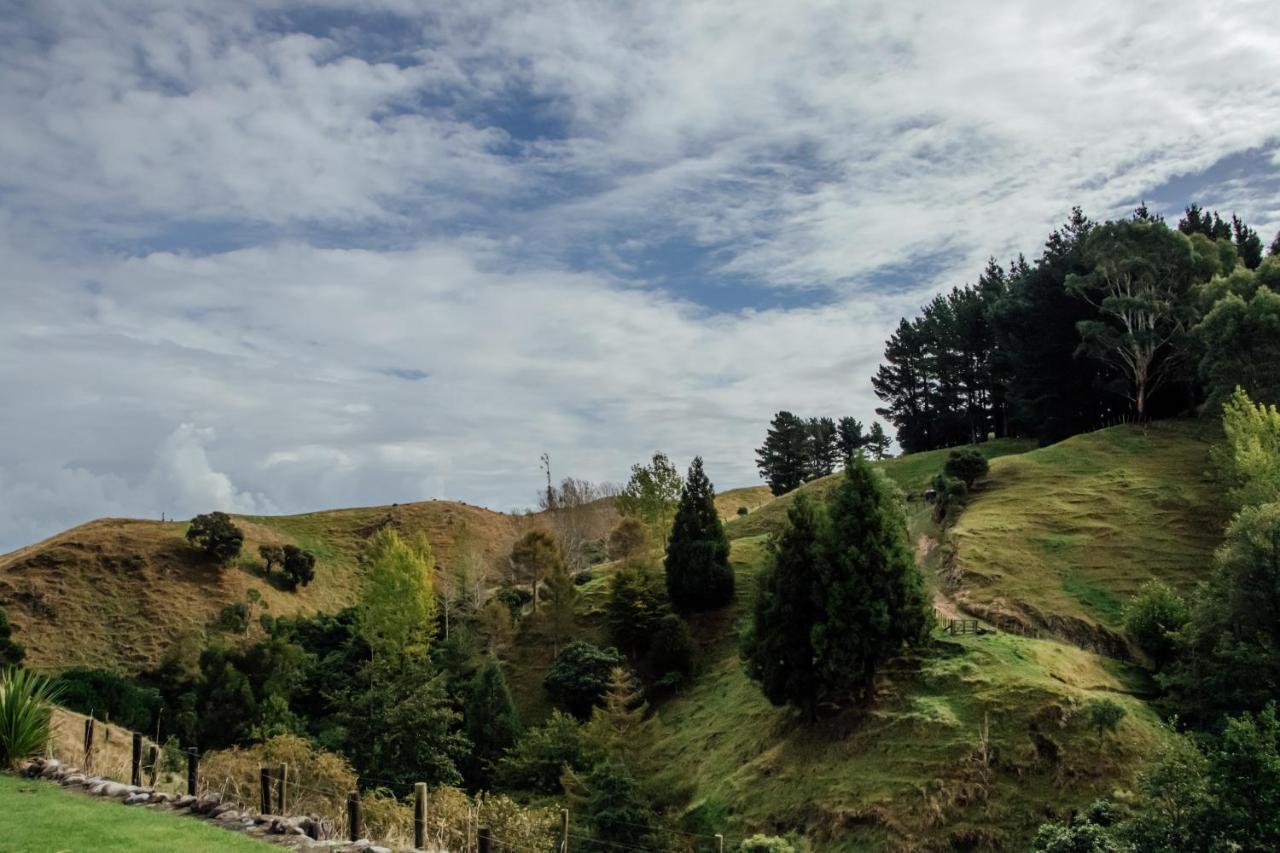Luxury Stay, Alpaca Farm Paraparaumu Esterno foto