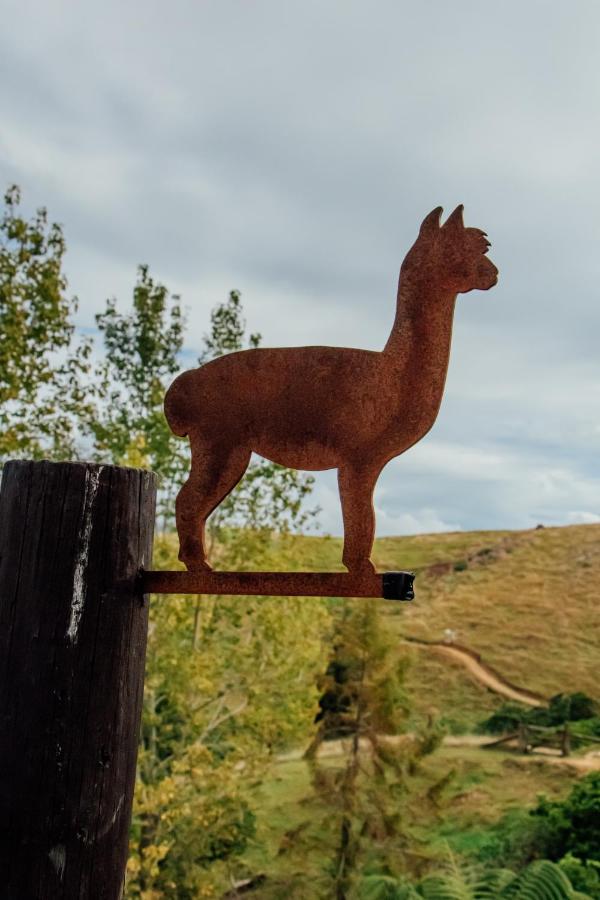 Luxury Stay, Alpaca Farm Paraparaumu Esterno foto