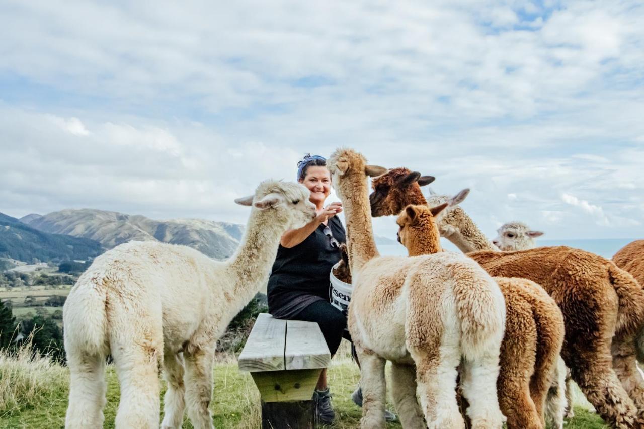 Luxury Stay, Alpaca Farm Paraparaumu Esterno foto