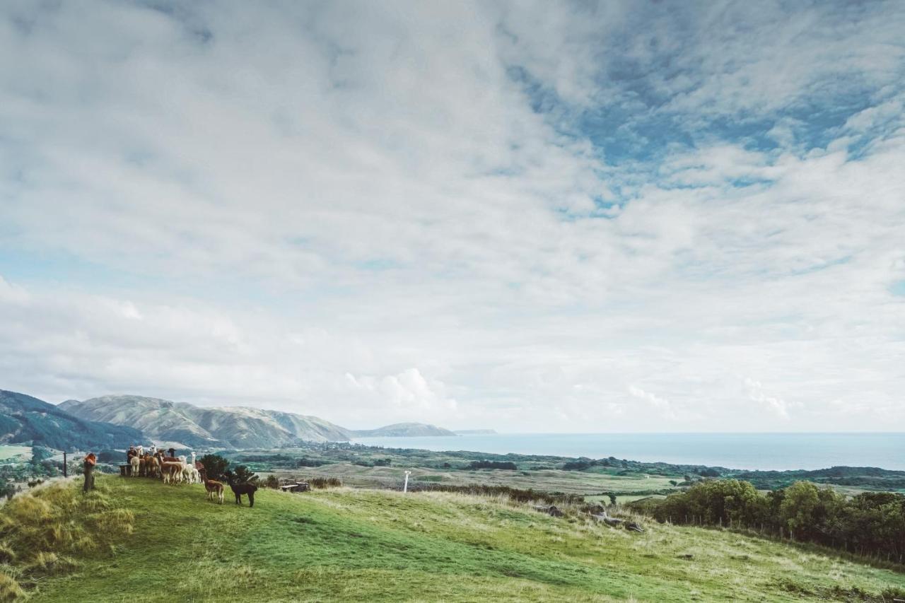 Luxury Stay, Alpaca Farm Paraparaumu Esterno foto